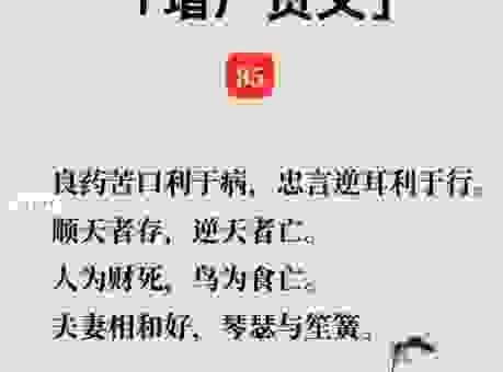 琴瑟之好是什么意思？这个成语说的是夫妻恩爱