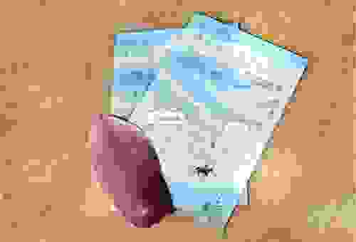 fortune cookie里的小纸条写了啥？最经典的语录分享