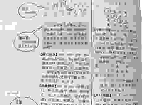 剖蚌求珠这个成语是什么意思？学会这个成语不再懵懂