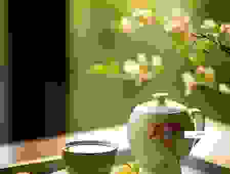 体验真正的禅悦是什么感觉？快速找回内心宁静的方法