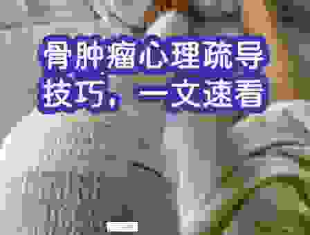 零基础如何快速掌握shiny？掌握这几个核心技巧就够了