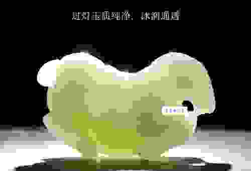 查找汗马功劳的生肖是什么生肖？这几个生肖你最熟悉！