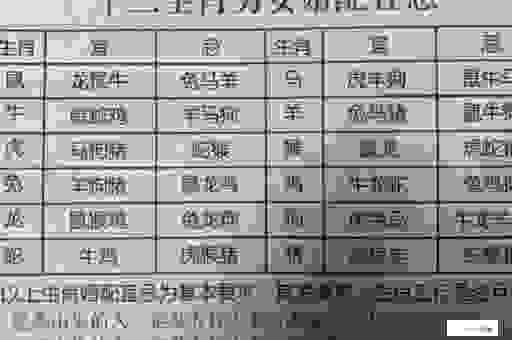 指东指西打最准确生肖选哪个？资深人士为你揭秘