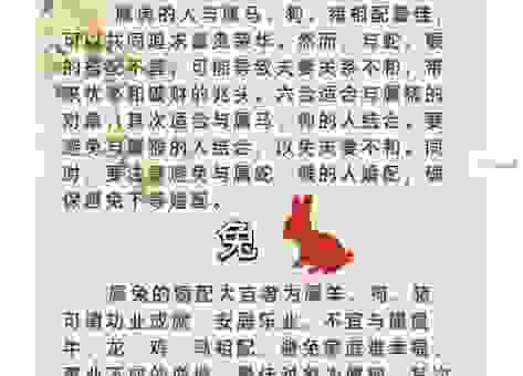 指东指西打最准确生肖选哪个？资深人士为你揭秘