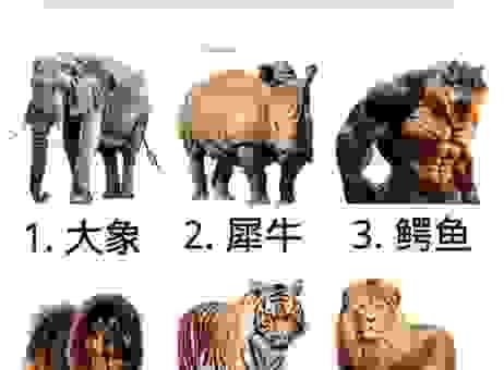蔚名如雷无尽期指什么动物？看完这些说法你会更明白