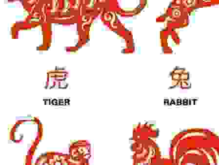 石破天惊打一个正确生肖，这个答案绝对让你想不到。