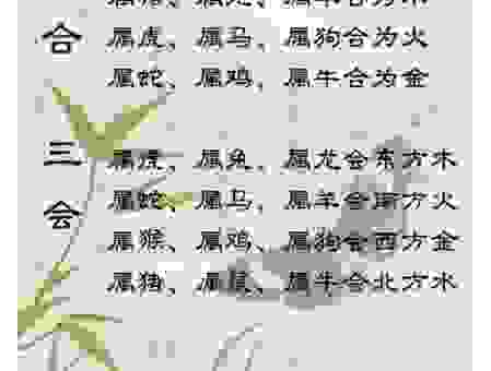 功成不居打一最佳精准生肖，生肖秘密揭秘