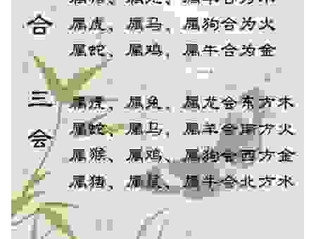 水月镜花是什么生肖？这些生肖的命运大揭秘