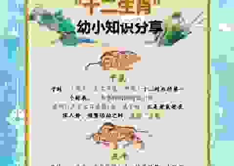 尺树寸泓对应哪个生肖？传统文化中的生肖解读。