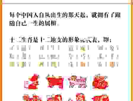尺树寸泓对应哪个生肖？传统文化中的生肖解读。