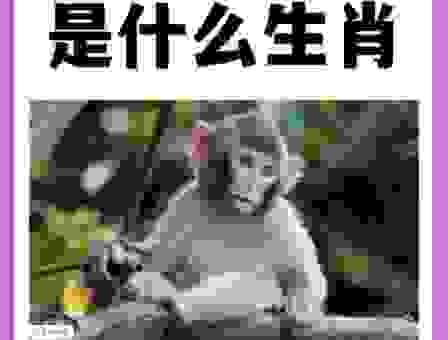 什么样的生肖会“呲牙咧嘴”？原来是它！