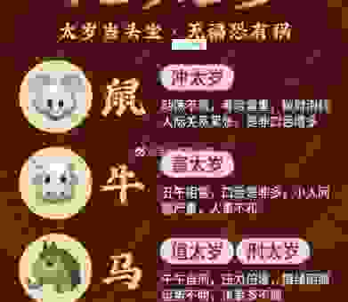 身着锦衣姿意贪是哪个生肖？内行人的解析来了！