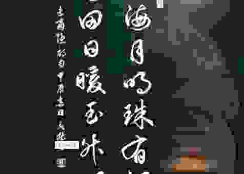 关于“沧海月明珠有泪打一正确生肖”的答案就在这里！
