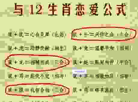 老谋深算的四大生肖都有谁？教你识别他们的套路！
