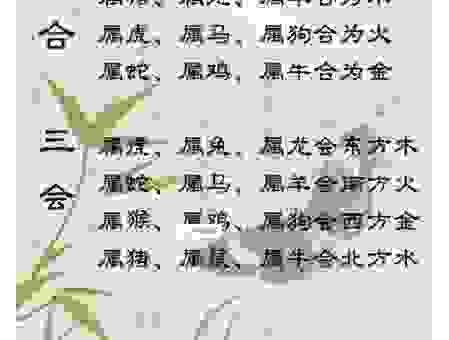感情里牵肠挂肚的生肖有哪些？这里为你揭秘
