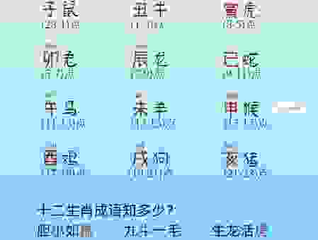 想知道表里如一是什么生肖？这篇帮你揭秘！