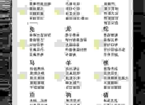 想知道表里如一是什么生肖？这篇帮你揭秘！