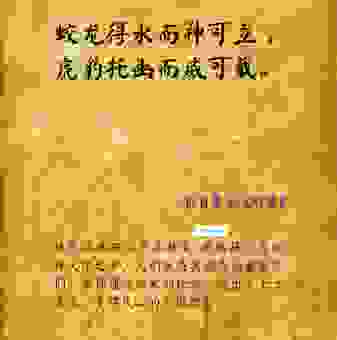 滔滔不绝打一最佳生肖，一语道破天机！