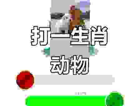挨饿的动物准确打一肖，猜猜看是哪种动物！