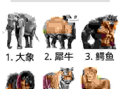挨饿的动物准确打一肖，猜猜看是哪种动物！