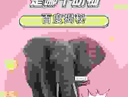 龇牙咧嘴的动物打一生肖，学会这个方法轻松猜！