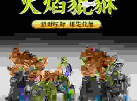 开卷有益打一最佳生肖是什么？这个生肖最招财！
