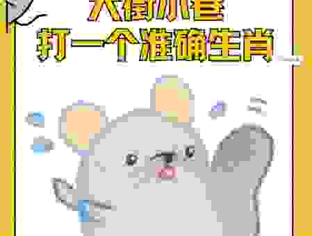 雷打不动是什么生肖？轻松解开你的疑惑！