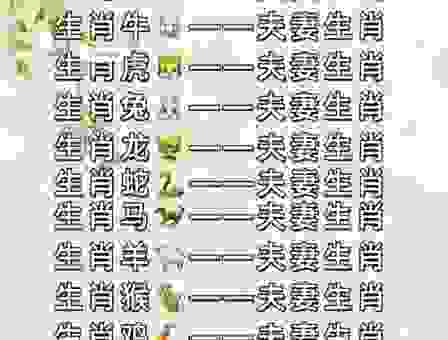 家大业大生肖查询，你知道是哪个生肖吗？