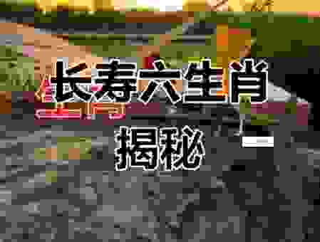 寿命最长的动物是什么生肖？原来是中国这几种！
