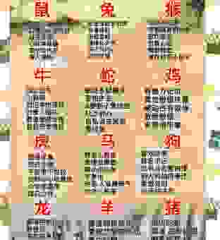 聪明丽人人称宠为什么是这几个生肖？原因很简单
