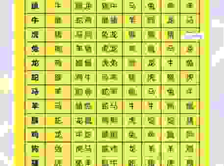 聪明丽人人称宠为什么是这几个生肖？原因很简单