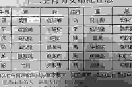 你知道转忧为喜打一生肖吗？生肖命理大揭秘！