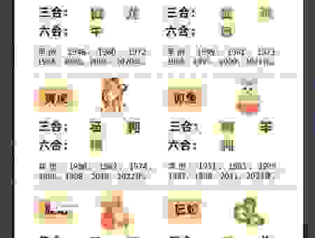 你知道视如珍宝打一生肖是哪个生肖吗？答案可能会让你惊喜