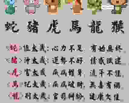 良辰美景三大生肖，你知道是哪几个吗？