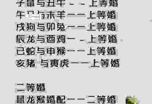 衣香鬓影的生肖是什么？看了答案直呼内行