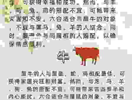 衣香鬓影的生肖是什么？看了答案直呼内行