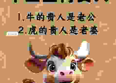 三可乡相连七贵打一正确生肖，这个生肖太聪明了！