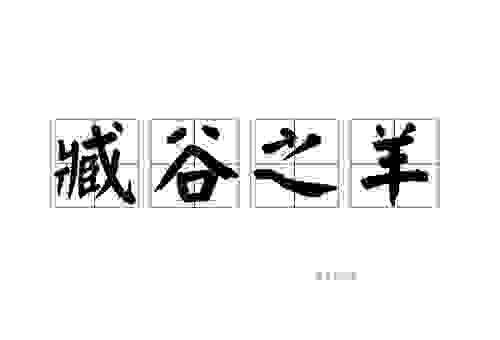 藏谷亡羊打一生肖，这个生肖最符合，不服来辩！
