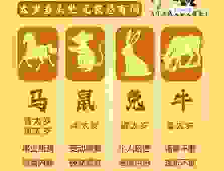 紫云反照和哪个生肖有关？答案在这里！