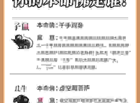 血风肉雨形容的生肖是什么？老祖宗的智慧告诉你！