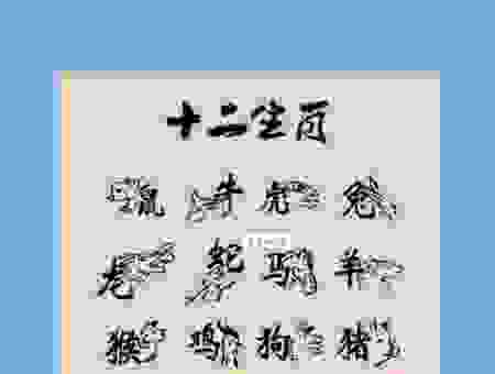 别再乱猜了！明珠弹雀打一准确生肖看这里！