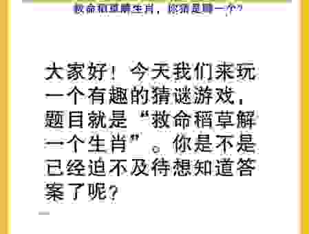 猜一字连城最佳生肖，这个答案你绝对想不到！