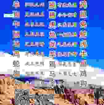 风雨一生桥与路打一正确生肖，揭晓最终答案！