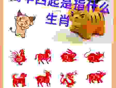 左右开弓猜生肖，这个答案你肯定想不到！