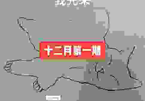 仰面朝天是什么动物？这些动物的睡姿你肯定想不到！