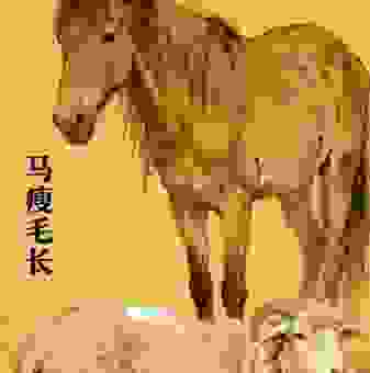 马瘦毛长打一精准生肖，你知道答案是什么吗？