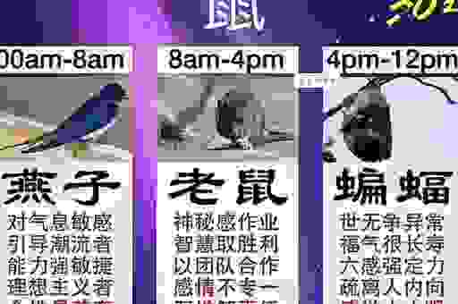 冬温夏清打一生肖什么？揭秘这个神秘的动物！