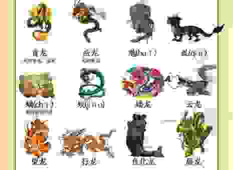 龙屈蛇伸代表哪个生肖？看懂这些才能知道答案
