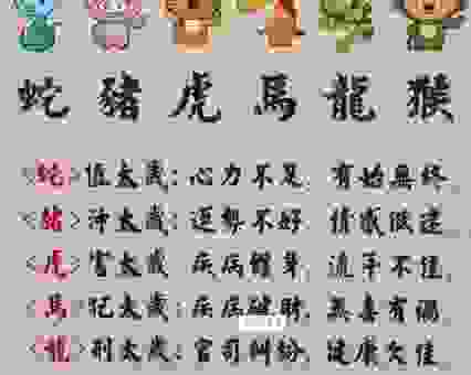 身先士卒是什么生肖？揭秘这些勇猛的生肖。