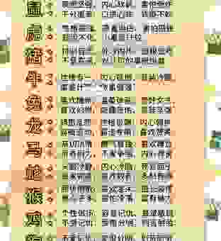 身先士卒是什么生肖？揭秘这些勇猛的生肖。